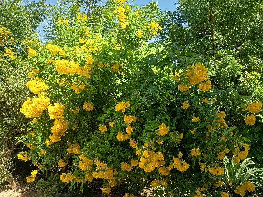 متخصصون - 2