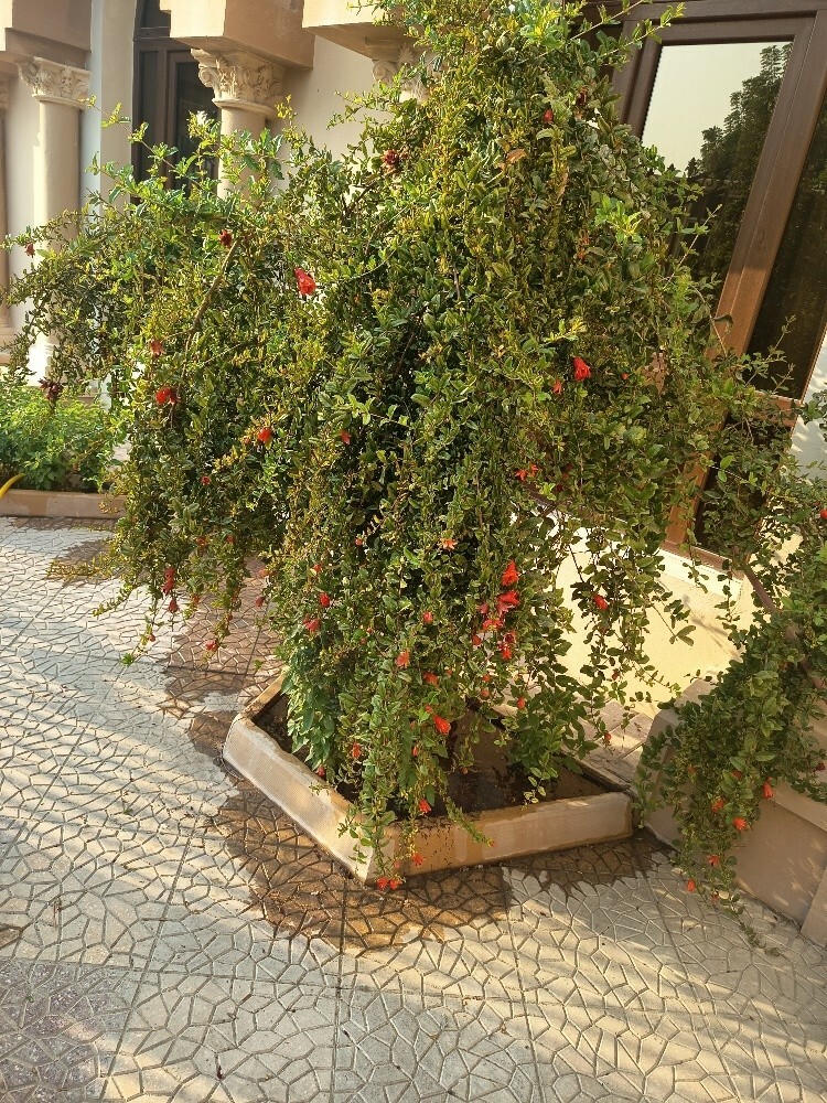 متخصصون - 3