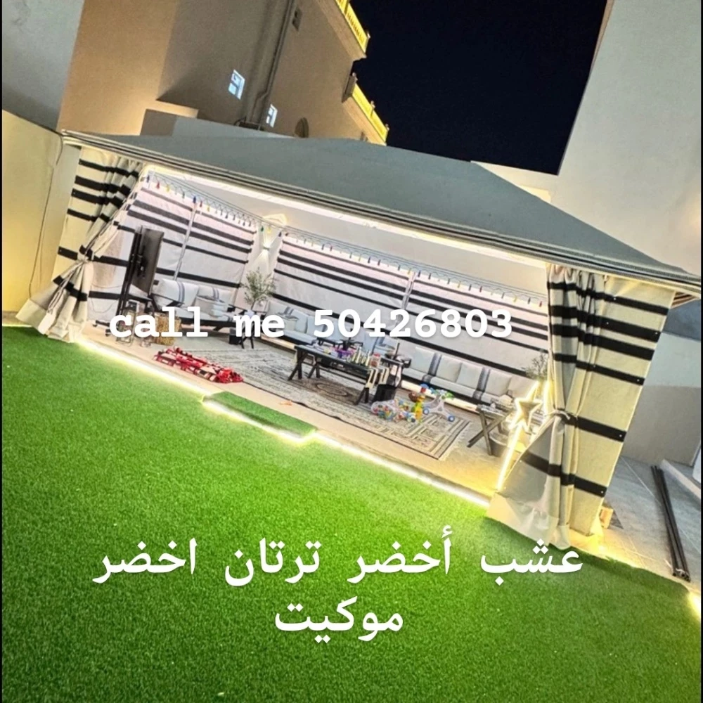 عشب أخضر ترتان اخضر موكيت - 1