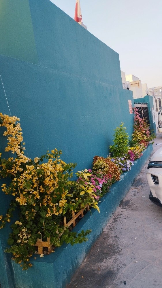 فول فل بيت - 1