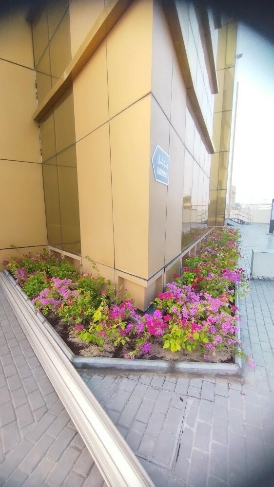 فول فل بيت - 4