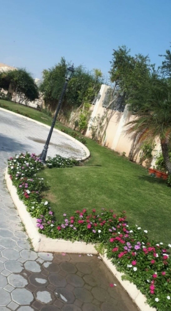 مزراع - 13