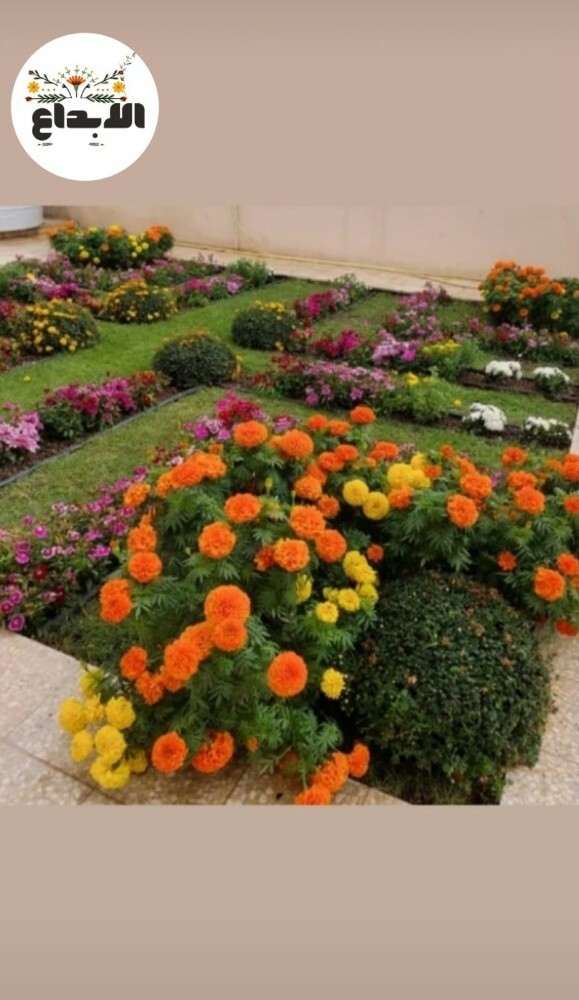 مزراع - 5