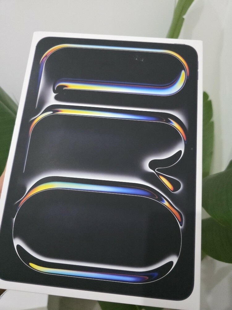 16/2TB 11" iPad Pro M4 Cellular - 1