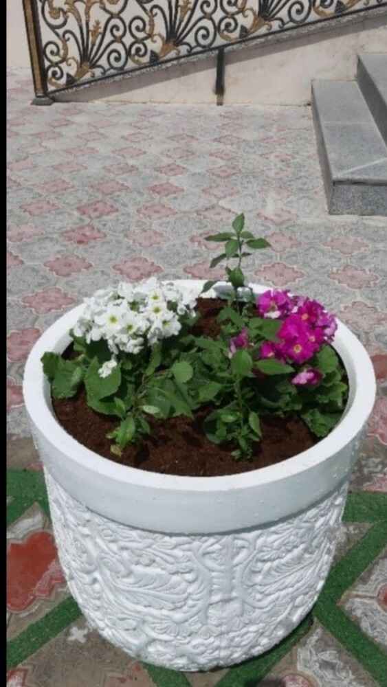 لزراعة وتنسيق الحدائق بالعشب - 5