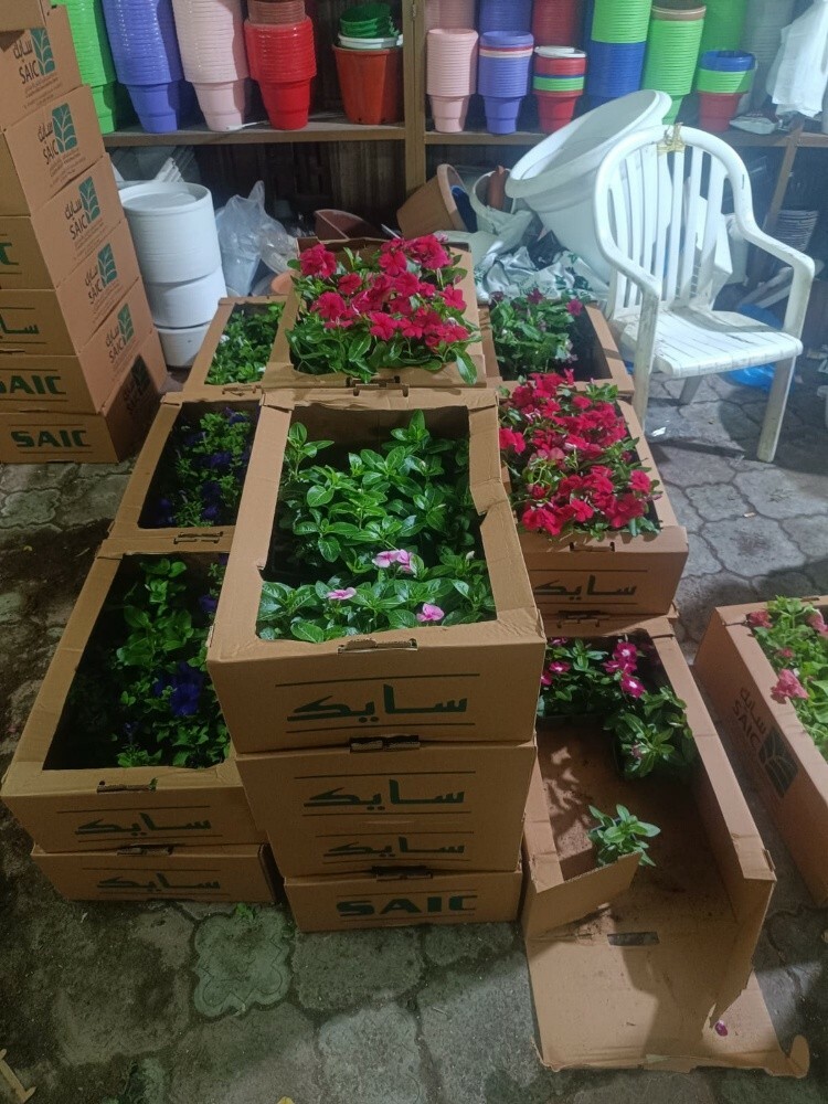 نقوم بالعناية بالحدائق وزراعة الع - 9