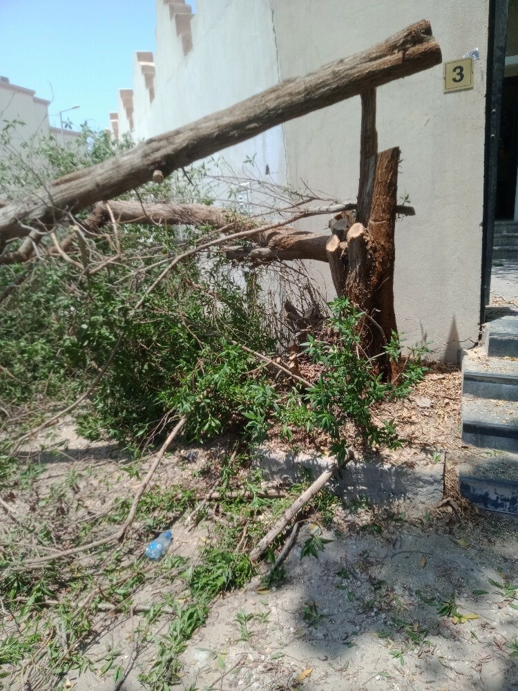 الهندسه والإتقان - 1