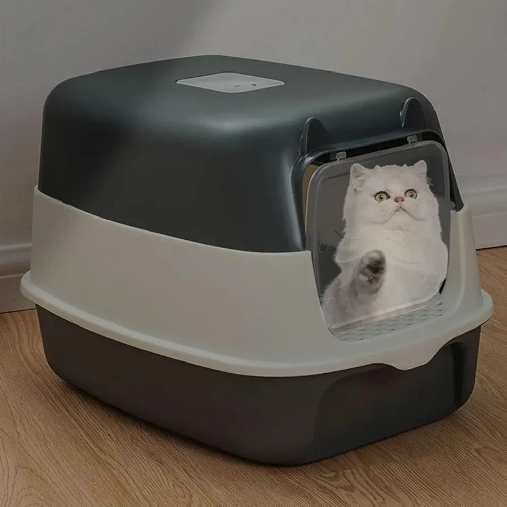 cat letter box - 2