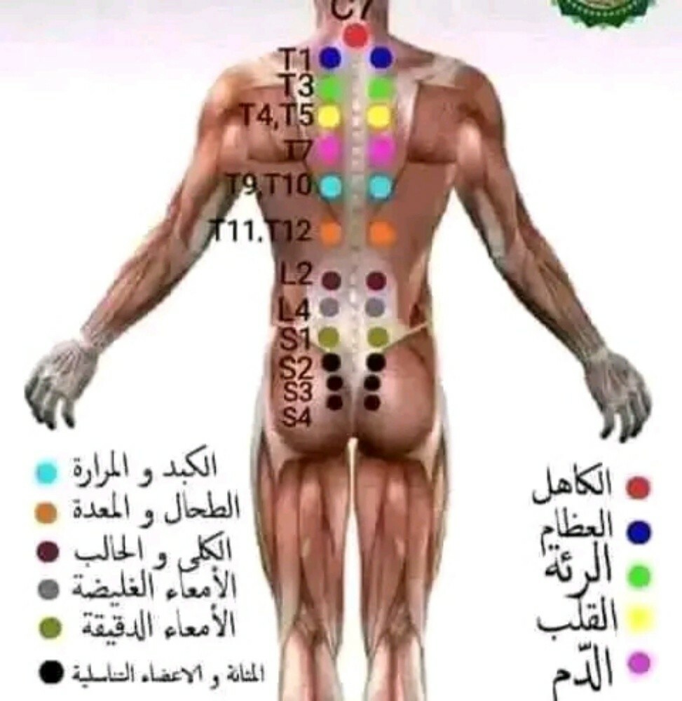 ام جويرية - 5
