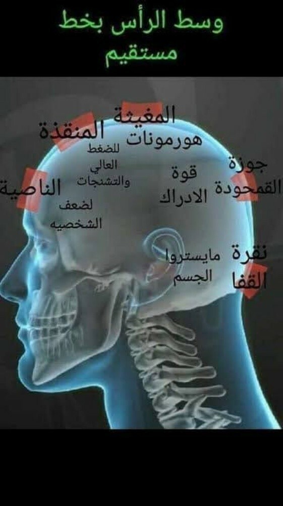 ام جويرية - 4