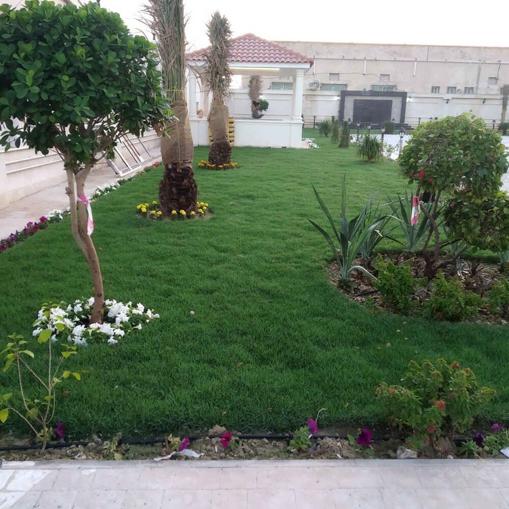 تنسيق حدائق - 10