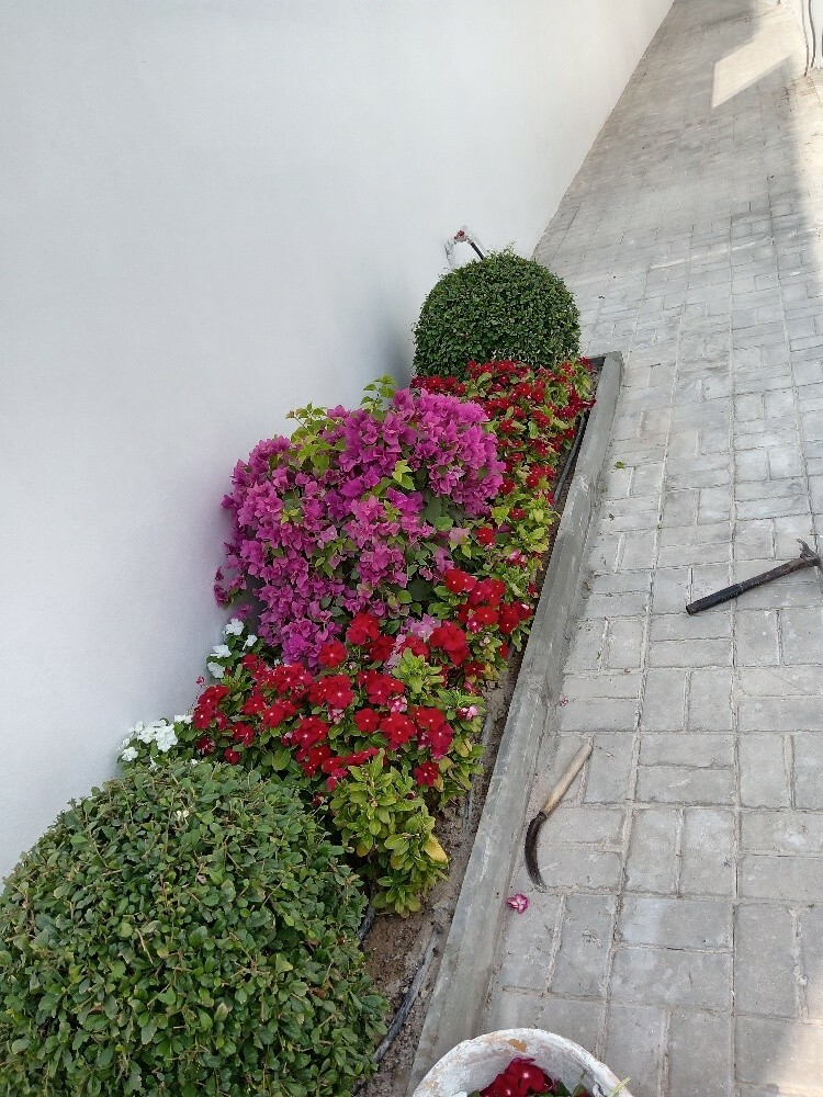 زراعه - 2