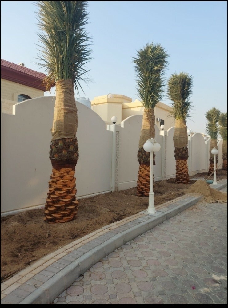 متخصصون فى تصميم وتنسيق الحدائق ا - 4