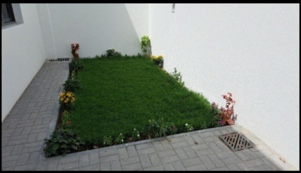 متخصصون فى تصميم وتنسيق الحدائق ا - 1