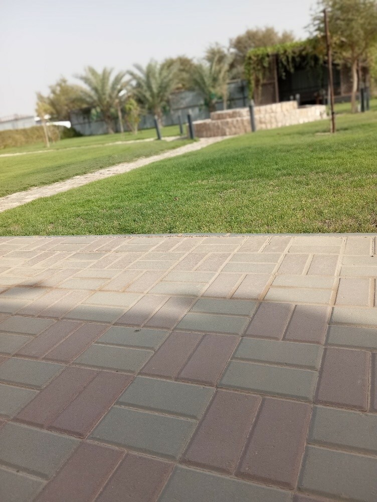 تنسيق وترتيب الحدائق وعمل الصيانة - 1