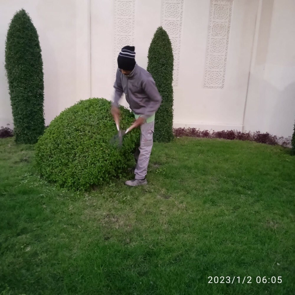أعمال الحدايق - 15