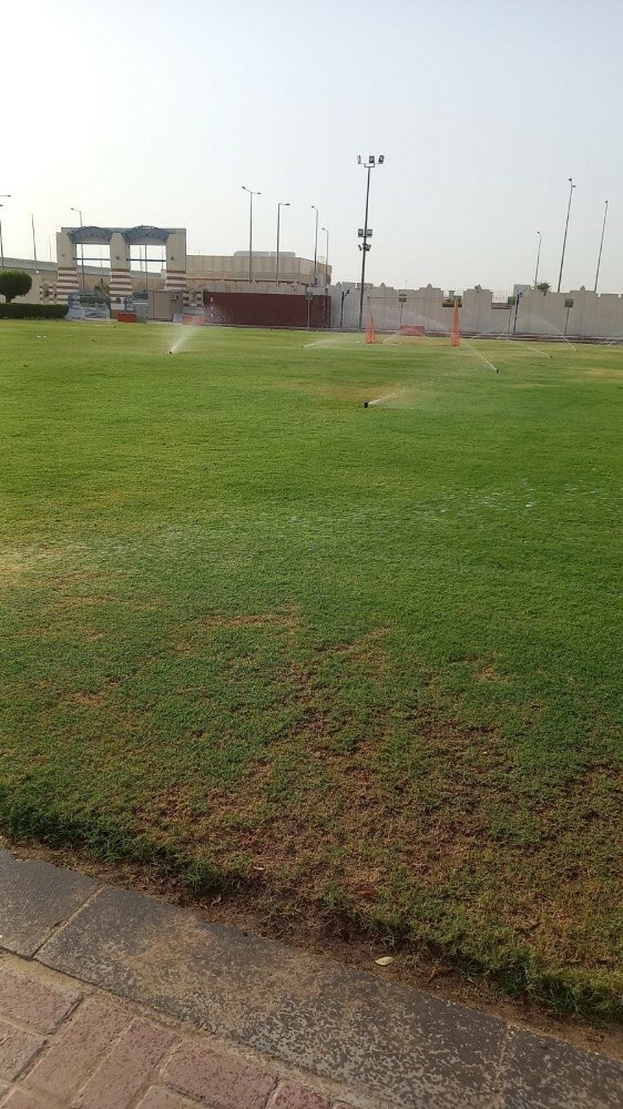 أعمال الحدايق - 3