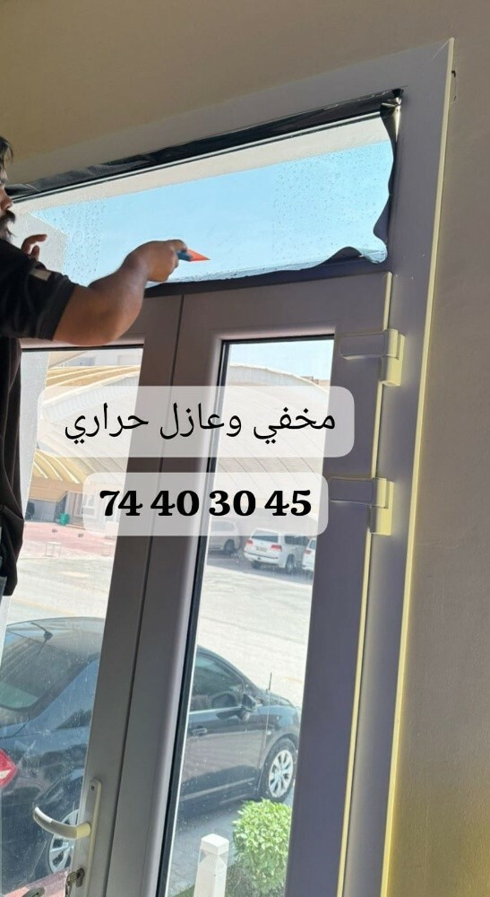 مخفي وعازل حراري اكس أمريكي - 2