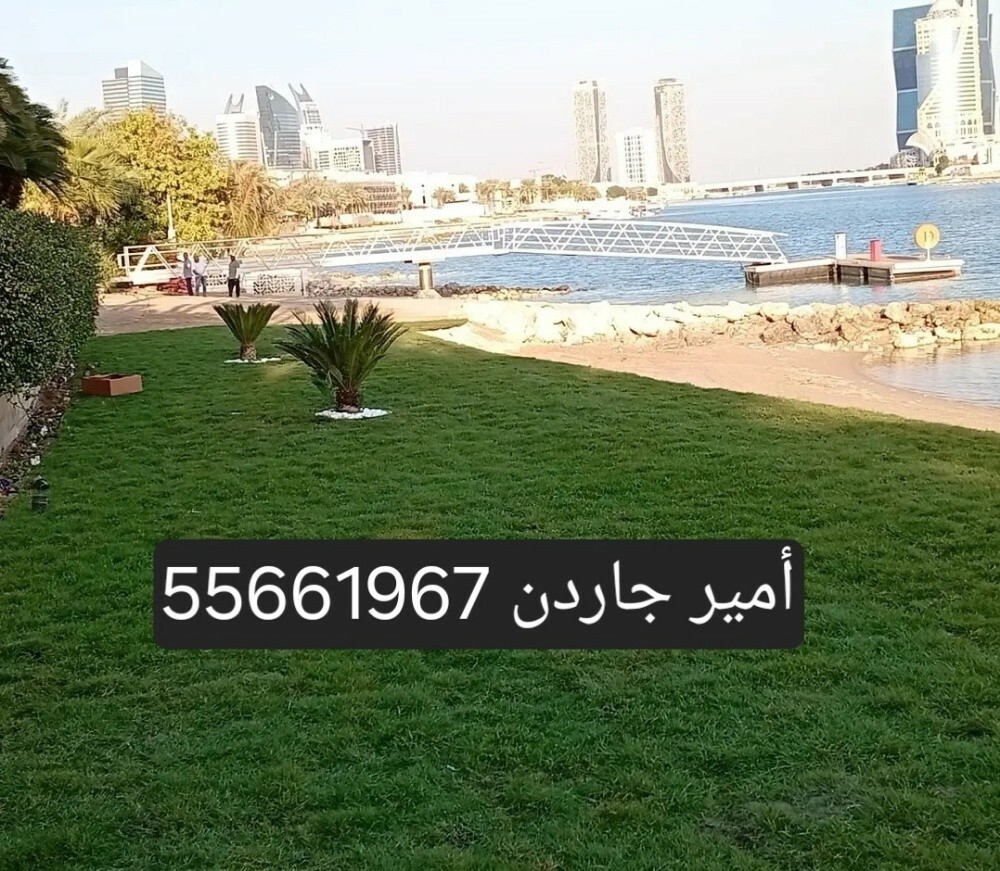 55661967 - 2