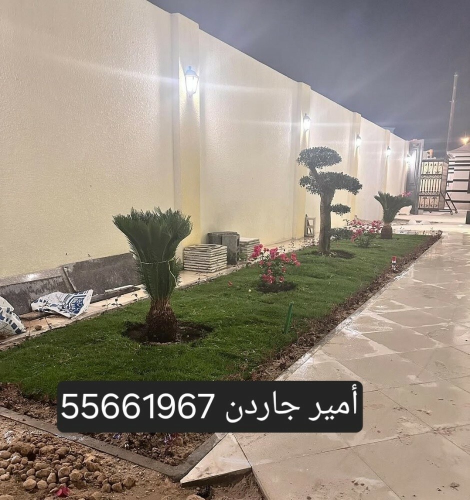 55661967 - 1