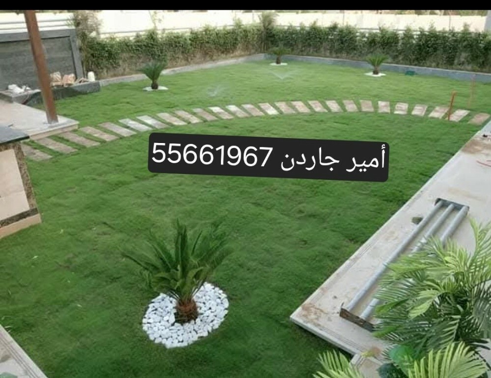 55661967 - 5