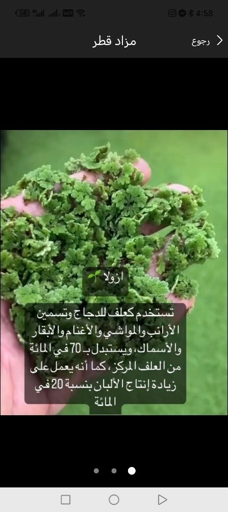 ازولاا للحلال لاصحاب الحلال - 2