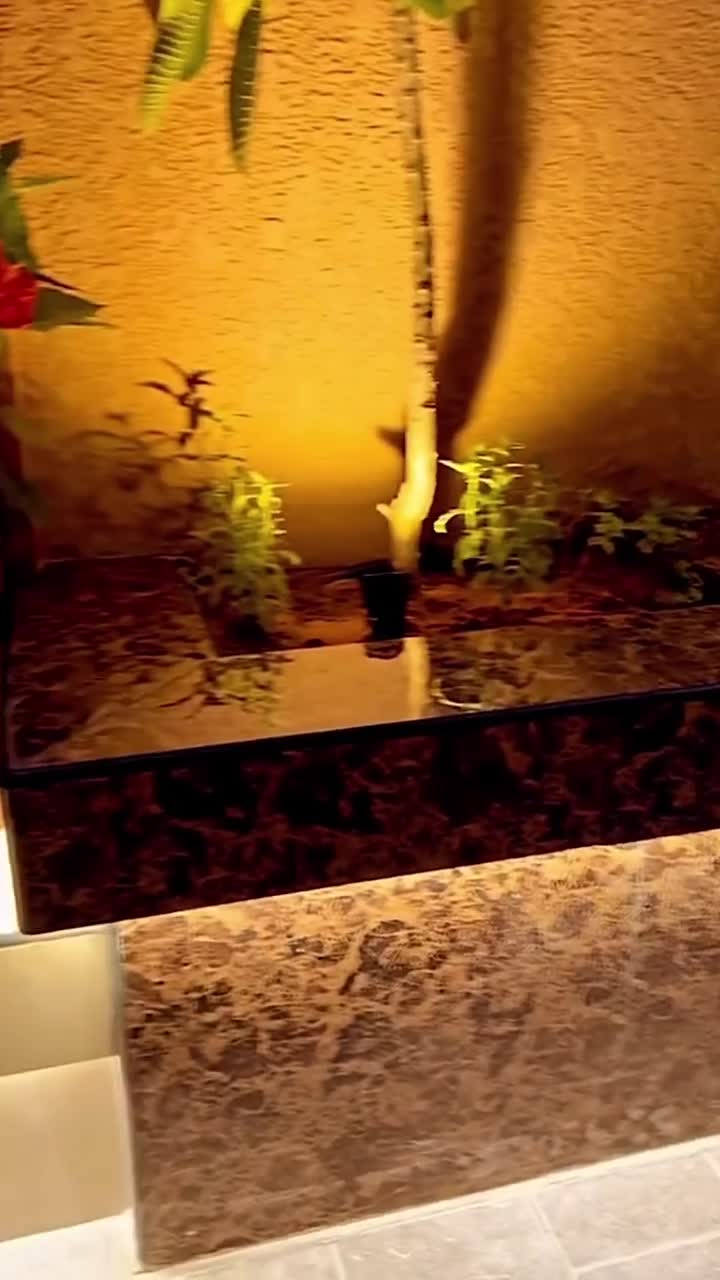 عمل أحواض زراعة ونوافير - 1