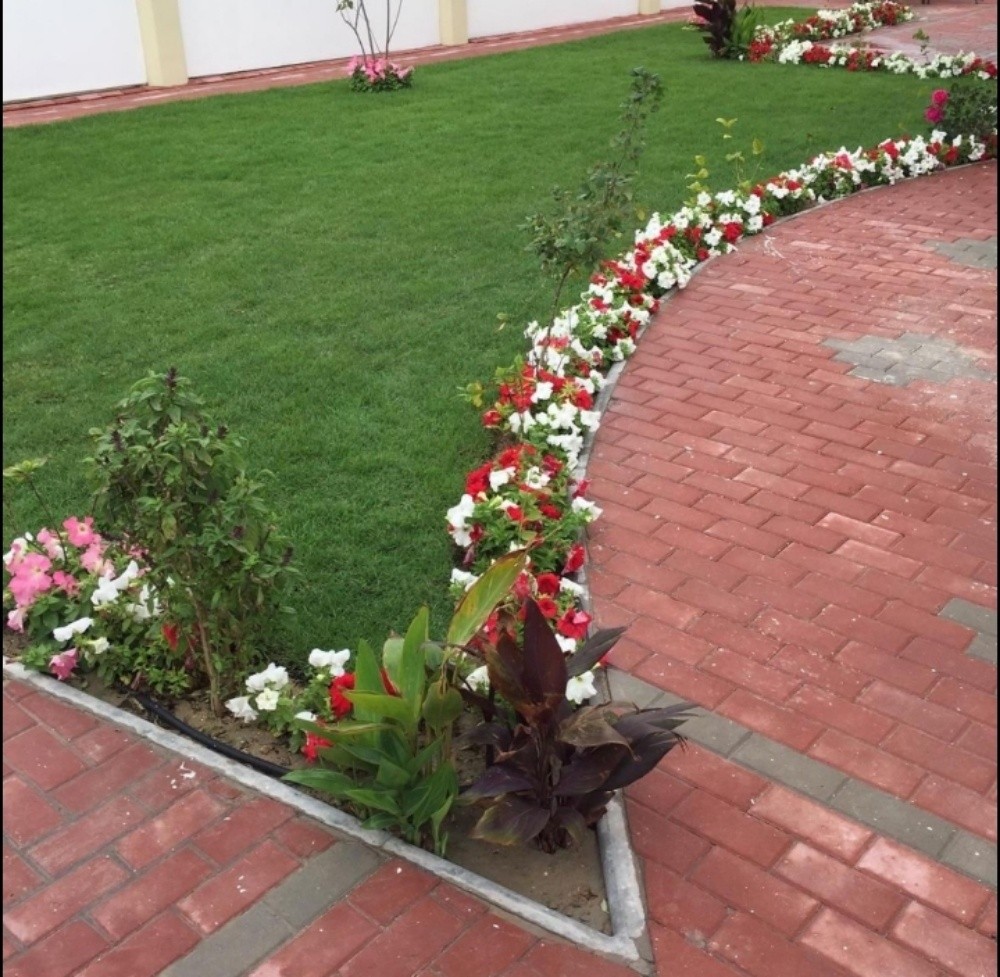 زراعة العشب الأخضر النخيل والورود - 3