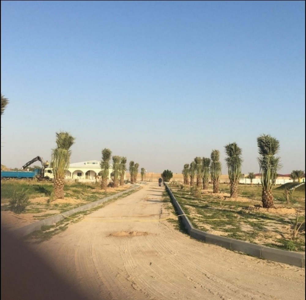 بیع نخل تکریب نخیل شیل نخیل - 1