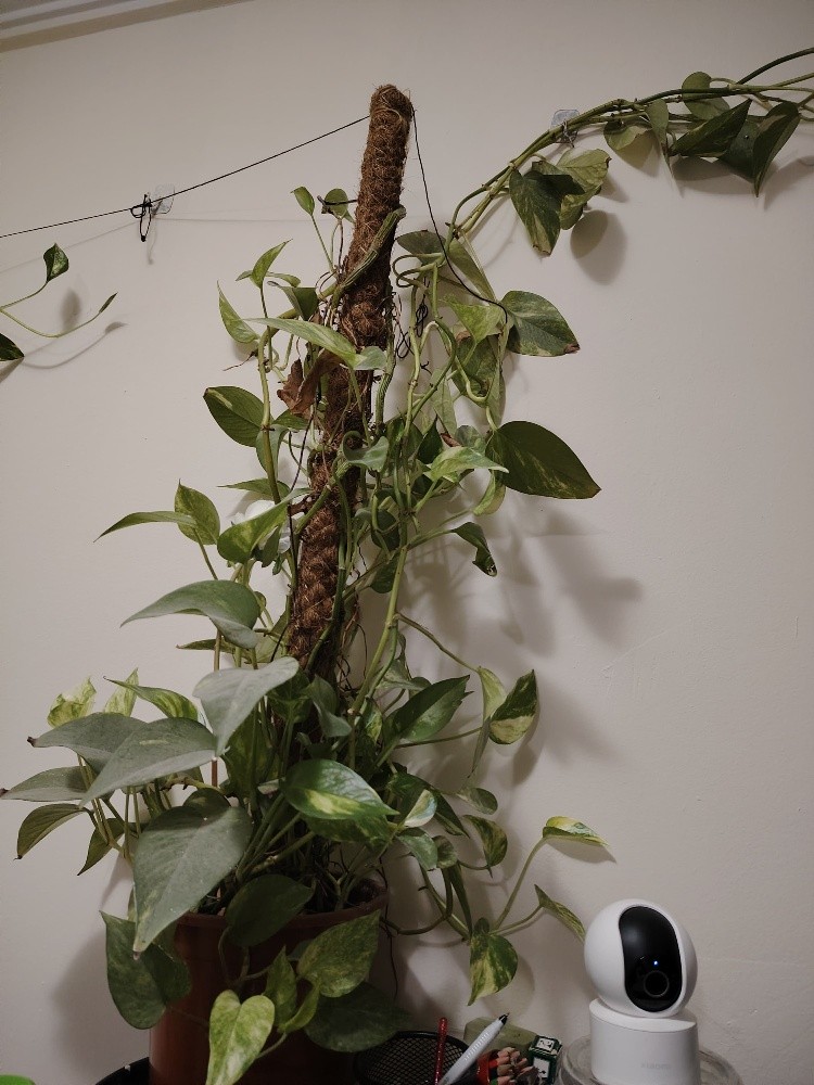 INDOOR HOUSEHOLD FOR SALE - 29