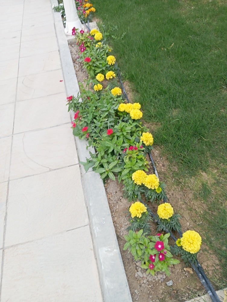 موزارع ومنسق الحديقة - 3