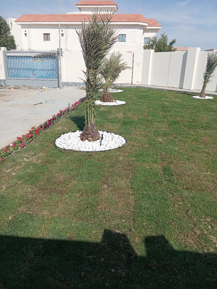 موزارع - 3
