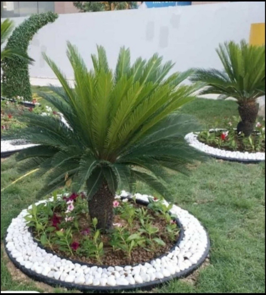 نقوم بزراعة العشب الأخضر والوراد - 5