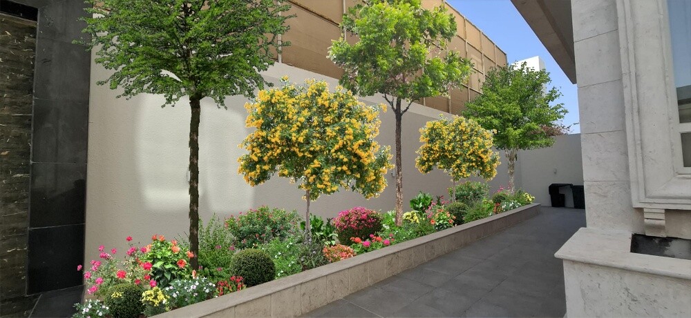 زراعه وديكورات - 1