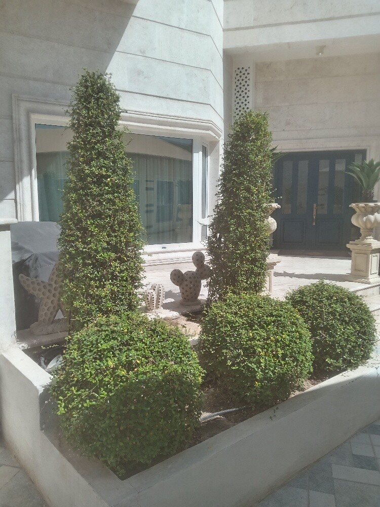 عمل زراعه - 3