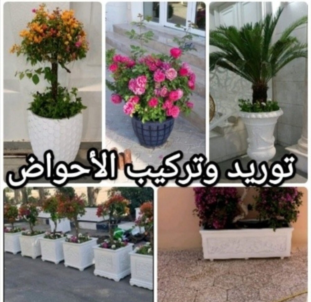 مزارع توريد الأحواض وزراعة عمل كا - 1