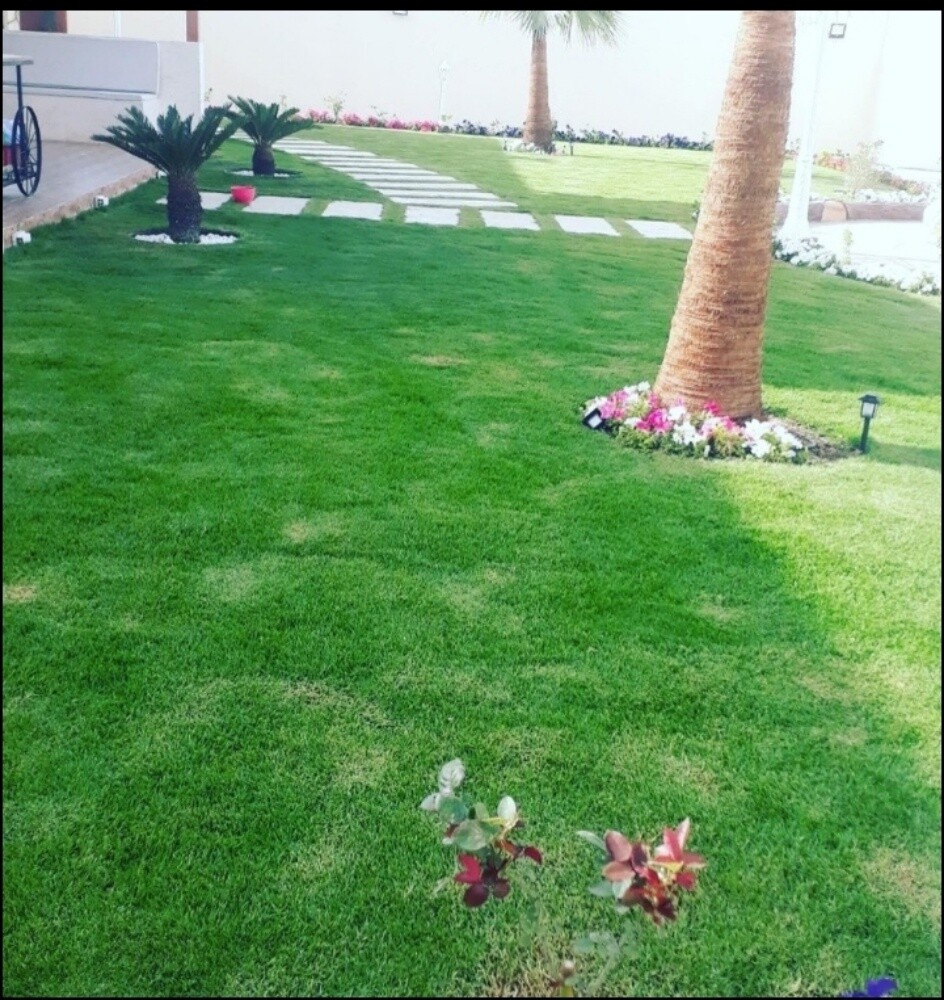 زراعه وتنسيق الحدائق وصيانه الحدا - 3