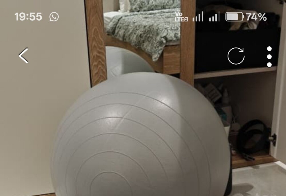 gymball secure max - 1