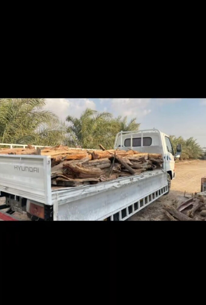 حطب - 3