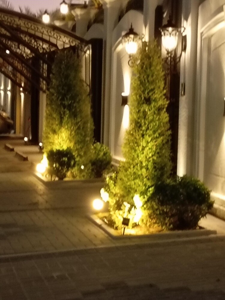 زراعه العشب - 3