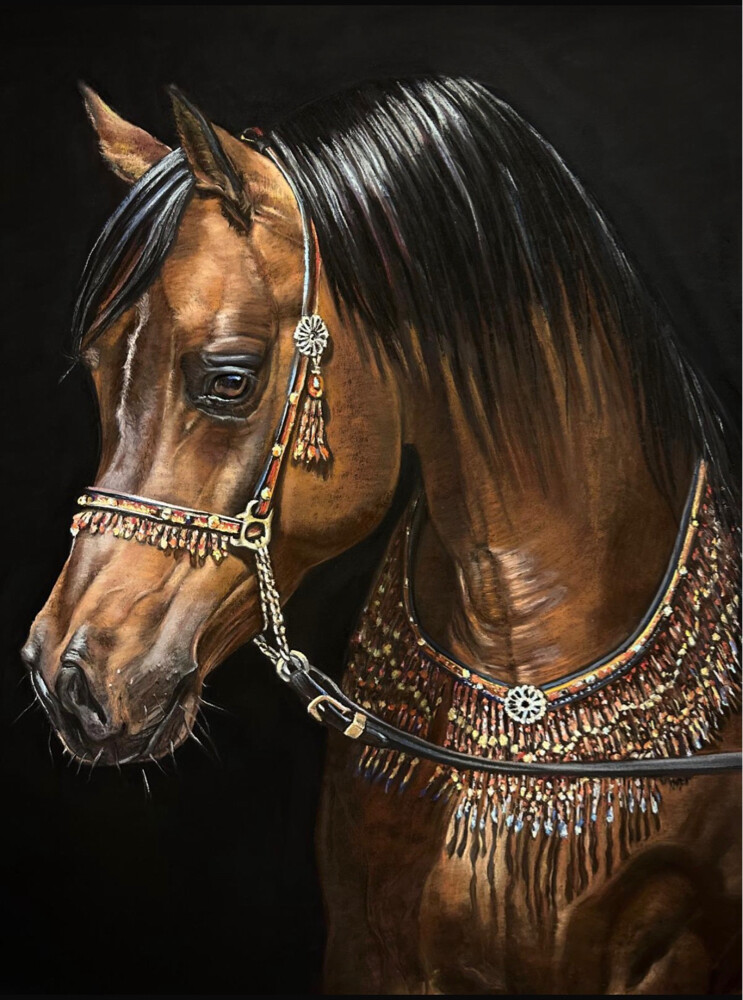 Arabian Horse Oil Paintings - 5
