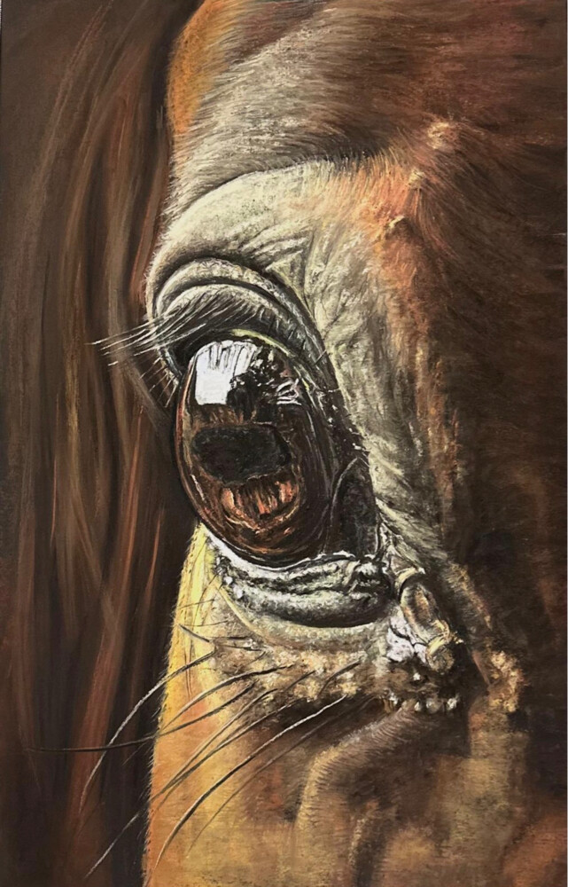 Arabian Horse Oil Paintings - 2