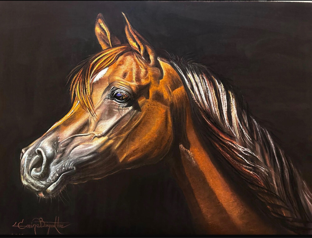 Arabian Horse Oil Paintings - 1
