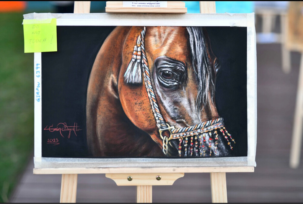 Arabian Horse Oil Paintings - 3