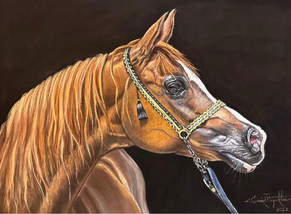 Arabian Horse Oil Paintings - 4