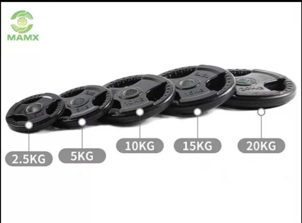 Olympic Weight Plate - 1