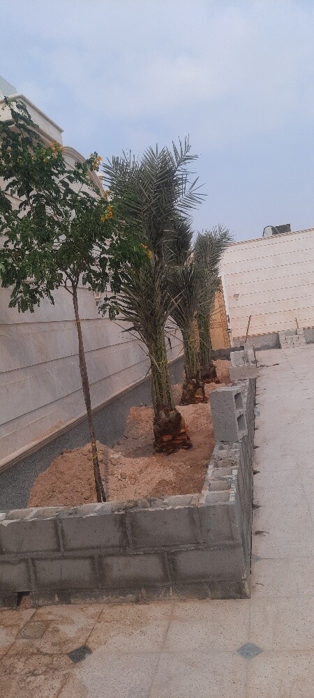 مصمم ومنسق حدائق - 2
