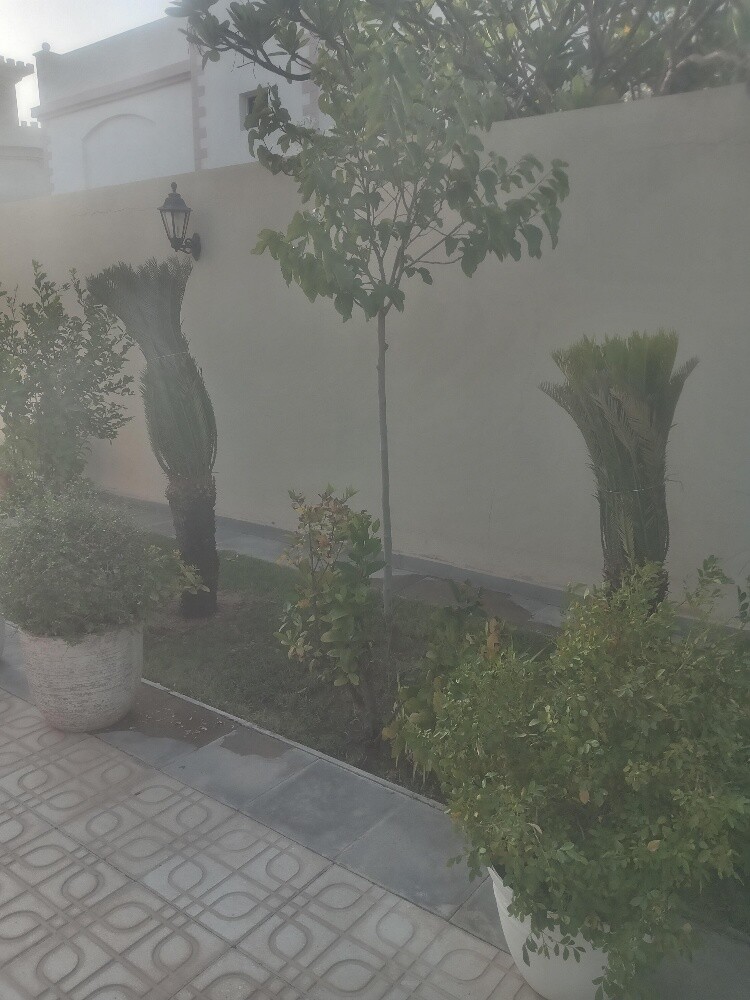 منسق حدايق - 3