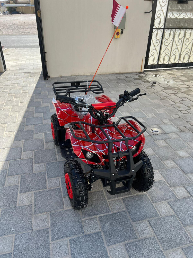 Electric scooter 4 wheel  - 2