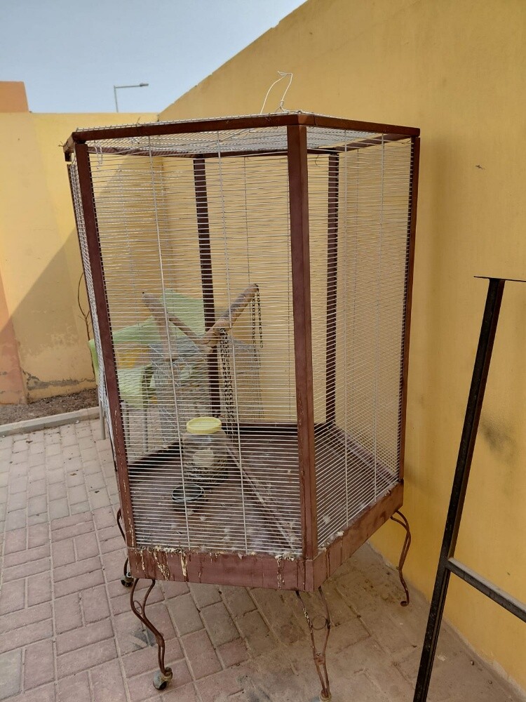 اقفاص - 1